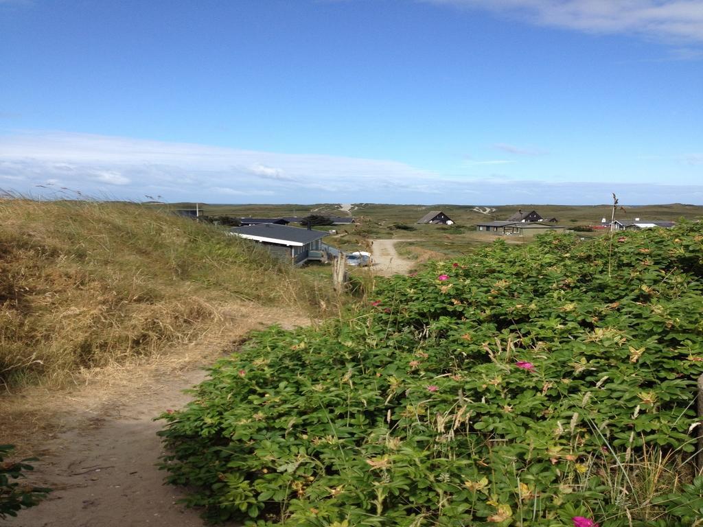 Sondervig Camping & Cottages Exterior foto
